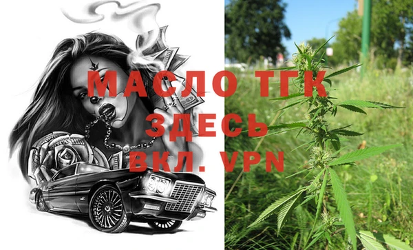 индика Армянск