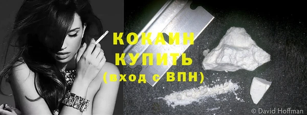 гидра Арсеньев
