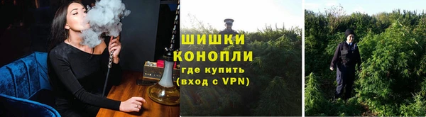 гидра Арсеньев