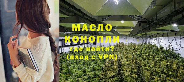 индика Армянск
