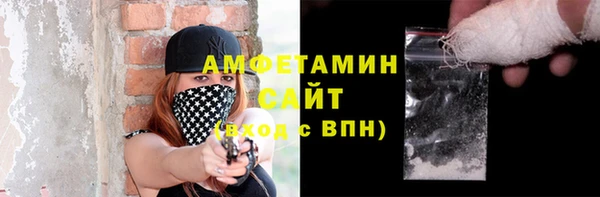 гидра Арсеньев
