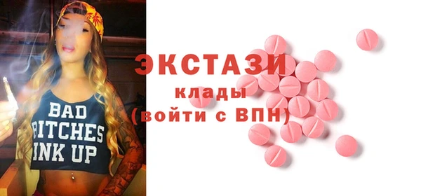 гидра Арсеньев