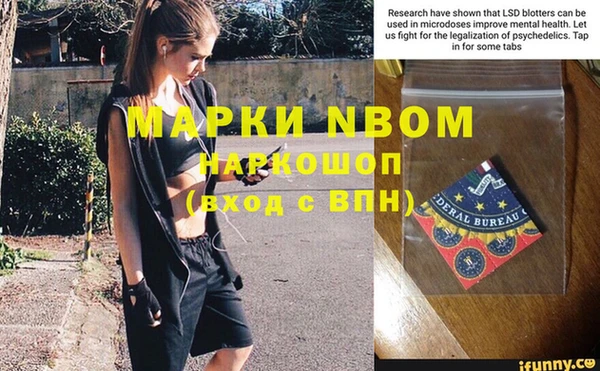 индика Армянск