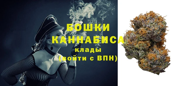 гидра Арсеньев